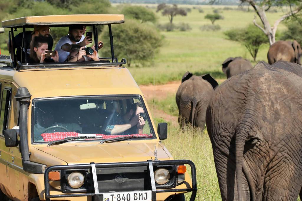 Descubre los mejores safaris por Tanzania en español